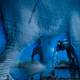 Illustration for article titled The best Wildlife Photographer of 2013